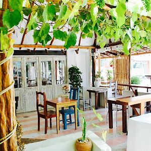 Posada Amor Hotel Boutique